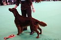 Crufts2011_2 115